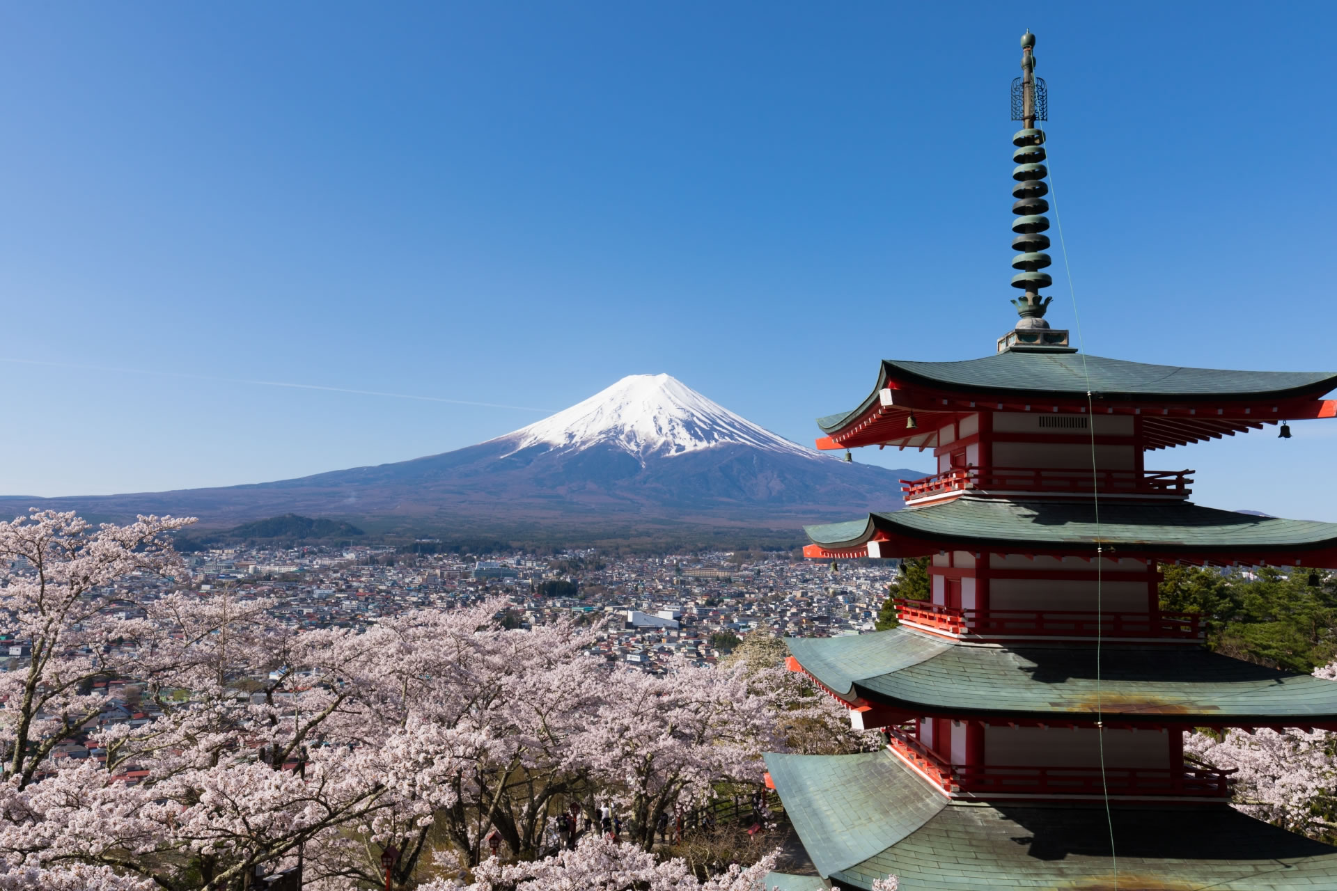世界文化遺産「富士山」