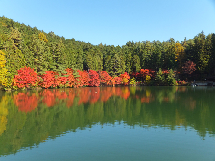 県民の森・伊奈ヶ湖